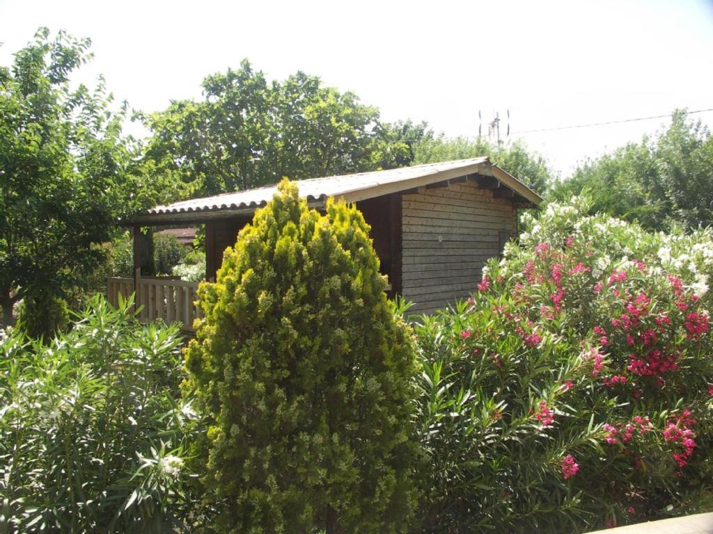 Chalets Sur Argens Chalet *